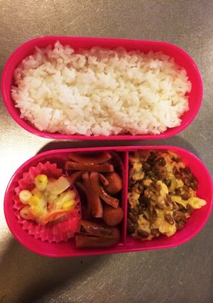 【記録用】お弁当1-レシピのメイン写真