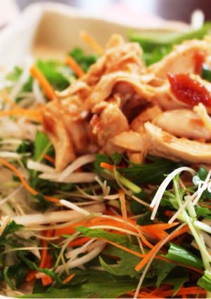 梅ドレで食べるササミと野菜のサラダ-レシピのメイン写真