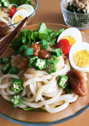 さっぱり♪ネバネバ☆ぶっかけうどん-レシピのメイン写真