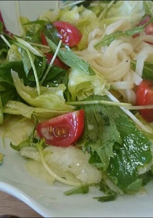 豆乳サラダうどん♪-レシピのメイン写真