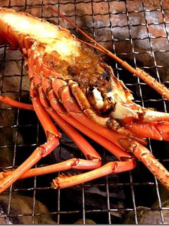 伊勢海老の干物 焼き方-レシピのメイン写真