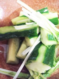 きゅうりとサラダ水菜の浅漬け-レシピのメイン写真