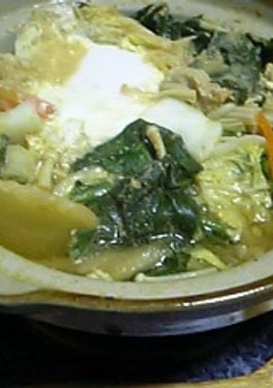 味噌汁 de 華麗なるwahooカレー鍋-レシピのメイン写真