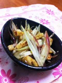 簡単美味☆ミョウガと油揚げの和え物-レシピのメイン写真