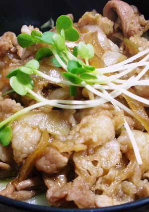 豚キャベツ丼-レシピのメイン写真