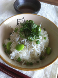 緑×緑=緑のしらす丼-レシピのメイン写真