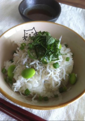 緑×緑=緑のしらす丼-レシピのメイン写真