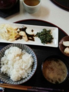 血管ダイエット食317(新茶葉お浸し和え-レシピのメイン写真