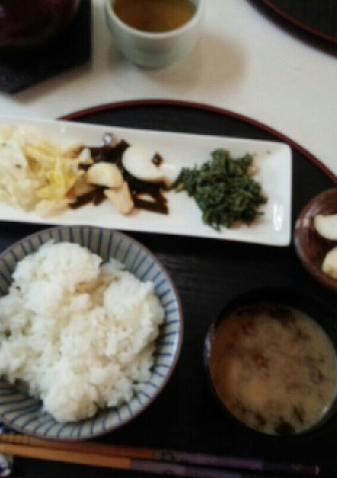 血管ダイエット食317（新茶葉お浸し和え-レシピのメイン写真