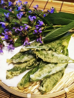 初夏☆季節の味!セージの新芽天ぷら♪-レシピのメイン写真