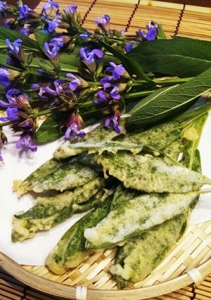 初夏☆季節の味！セージの新芽天ぷら♪-レシピのメイン写真