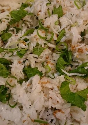 *シソとしらすのゴマご飯*-レシピのメイン写真