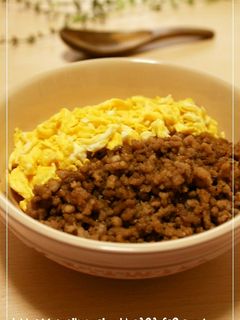豚とタマゴの二色丼-レシピのメイン写真