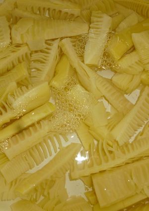 破竹（淡竹）の下ごしらえ-レシピのメイン写真