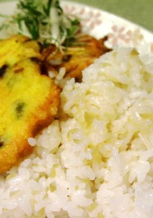 鶏肉のかき揚げ丼-レシピのメイン写真