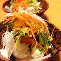 รูปของ シャキシャキ野菜のっけ盛り冷奴