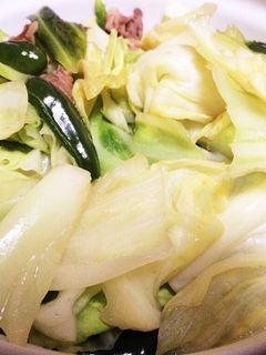 少しのひと手間で美味しい野菜炒め☆-レシピのメイン写真