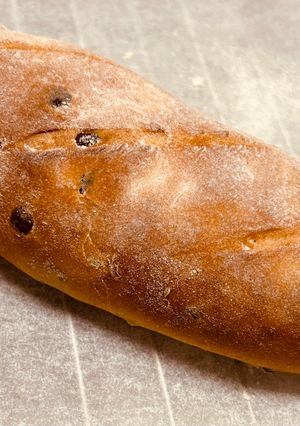 胡桃とクランベリーとチョコチップのパン-レシピのメイン写真