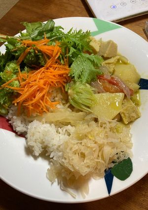 高野豆腐グリーンカレー-レシピのメイン写真