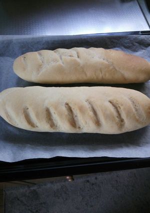 フランスパン-レシピのメイン写真