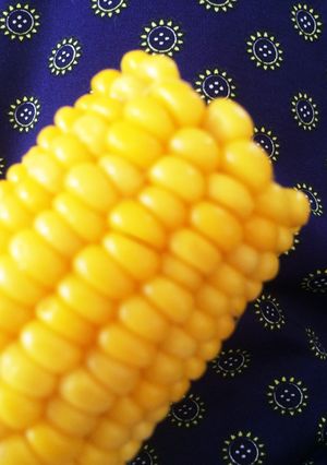 とうもろこしの蒸し方、冷まし方、冷凍方法-レシピのメイン写真
