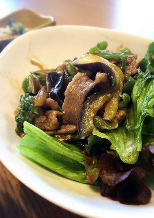 牛肉と茄子のピリ辛味噌炒め-レシピのメイン写真