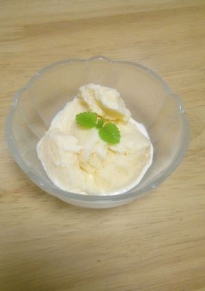 ココナッツミルクアイスクリーム♪-レシピのメイン写真