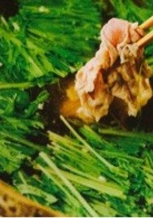 塩麹のおだしで☆水菜と豚肉のはりはり鍋-レシピのメイン写真