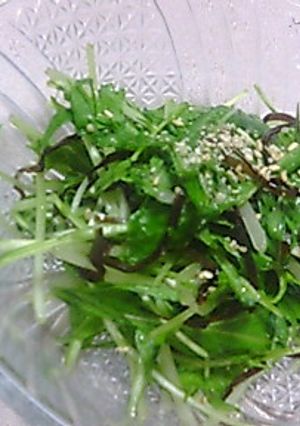 １分で簡単♬塩コンブde水菜の和え物-レシピのメイン写真