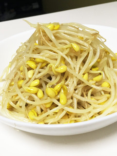 豆もやしのナムル-レシピのメイン写真