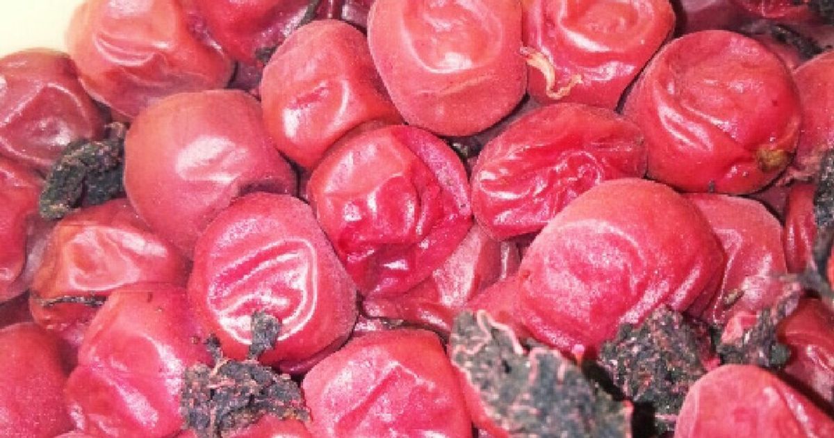 梅干し・小梅：2015ver. by ききはは 【クックパッド】 簡単