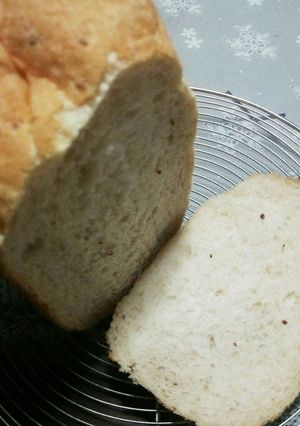 HBで！玄米ごはん食パン。油・乳不使用♪-レシピのメイン写真