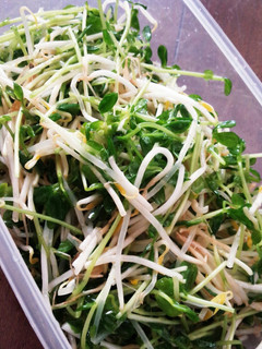 もやしと豆苗のナムル-レシピのメイン写真