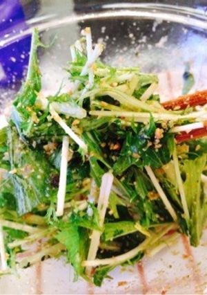 お茶漬けのもとで水菜大量消費！-レシピのメイン写真