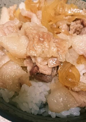 豚丼-レシピのメイン写真