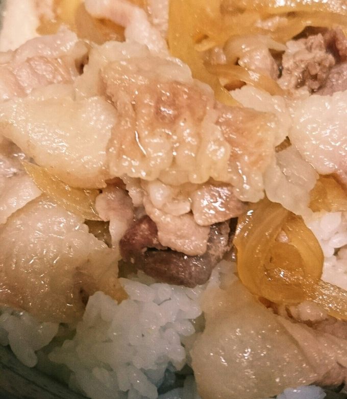 豚丼-レシピのメイン写真
