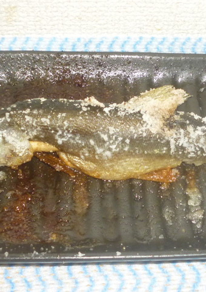 鮎の塩焼き-レシピのメイン写真