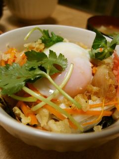 天かすで簡単天丼☆-レシピのメイン写真