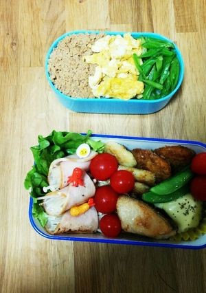 記録☆ころちゃんお弁当２-レシピのメイン写真