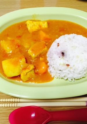 ドラゴンカレー0 無添加-レシピのメイン写真