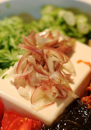 刻むだけ!スタミナ豆腐-レシピのメイン写真