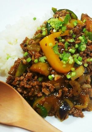 揚げない麻婆茄子丼-レシピのメイン写真