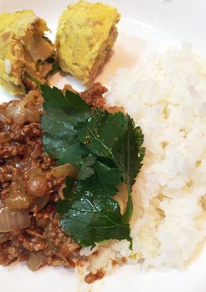 あまりカレーでキーマカレー-レシピのメイン写真