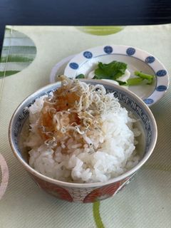 簡単じゃこと大根おろし☆-レシピのメイン写真