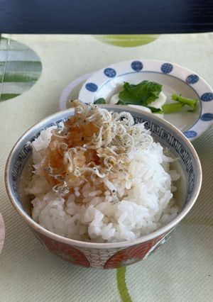 簡単じゃこと大根おろし☆-レシピのメイン写真