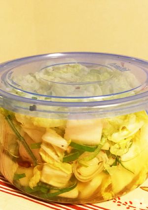 おつまみ隊！長ネギ白菜の和風ピクルス-レシピのメイン写真