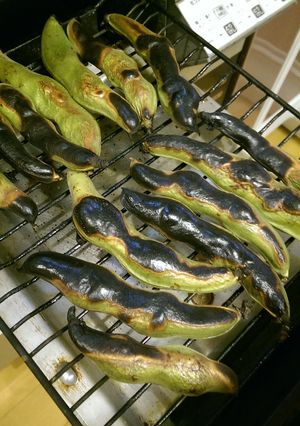 両面焼きグリルでそら豆焼き-レシピのメイン写真