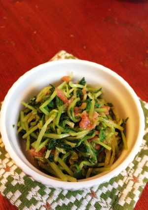 豆苗の梅おかか和え-レシピのメイン写真