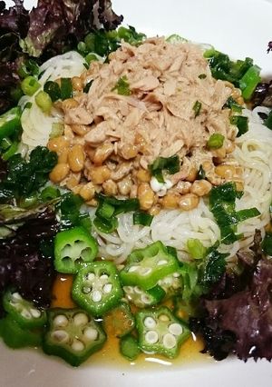 ネバネバ～こんにゃくそうめん-レシピのメイン写真