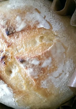 ダッチオーブンでカンパーニュ-レシピのメイン写真